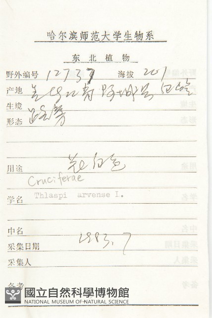 凹果菥蓂、遏藍菜藏品圖，第2張