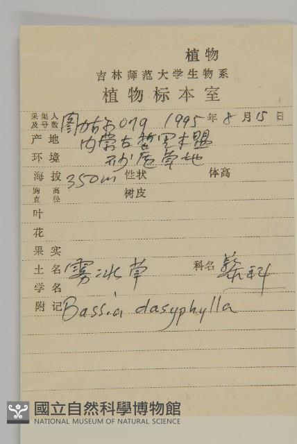 霧冰草藏品圖，第2張