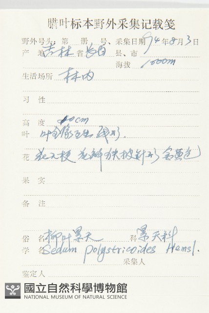 蘚狀景天藏品圖，第2張