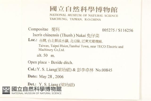 兔仔菜藏品圖，第2張