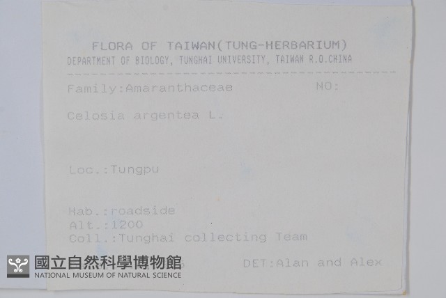 青葙藏品圖，第2張