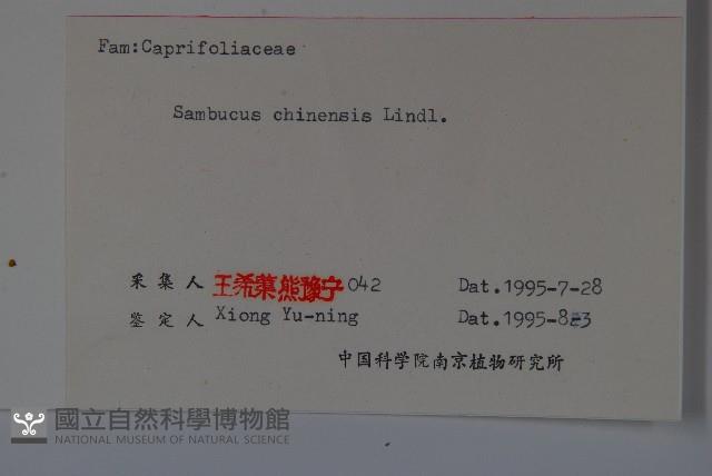 冇骨消藏品圖，第2張