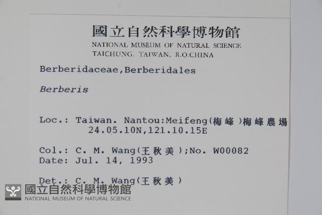 日本小檗藏品圖，第2張