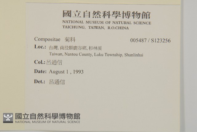 登錄號:S123256藏品圖，第2張