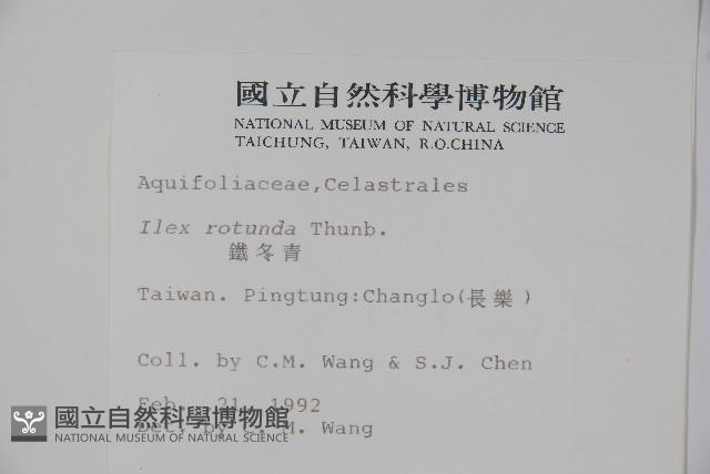 鐵冬青藏品圖，第2張