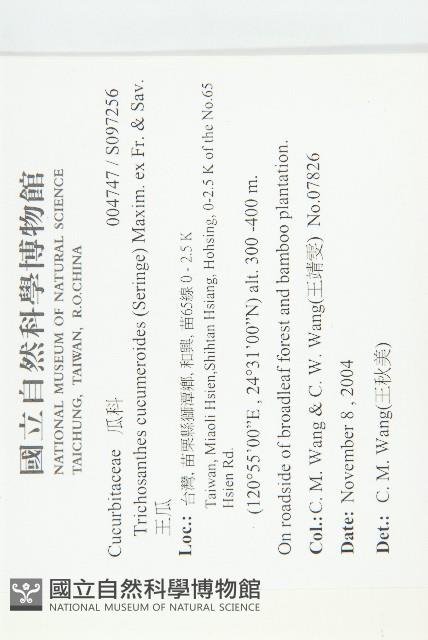 王瓜藏品圖，第2張