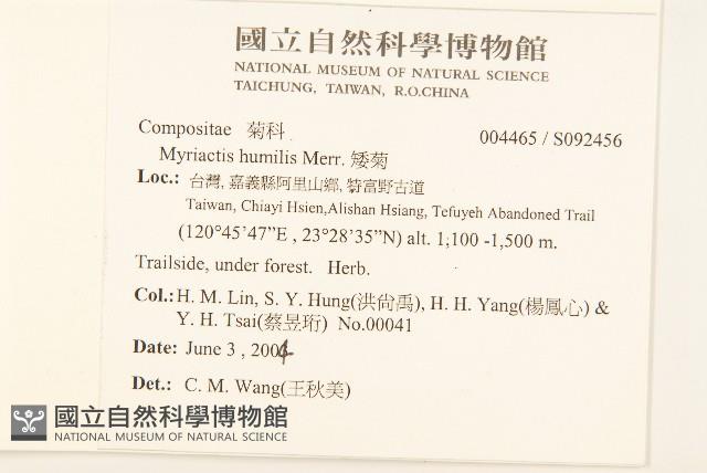 矮菊藏品圖，第2張