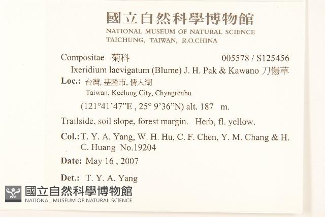 刀傷草藏品圖，第2張