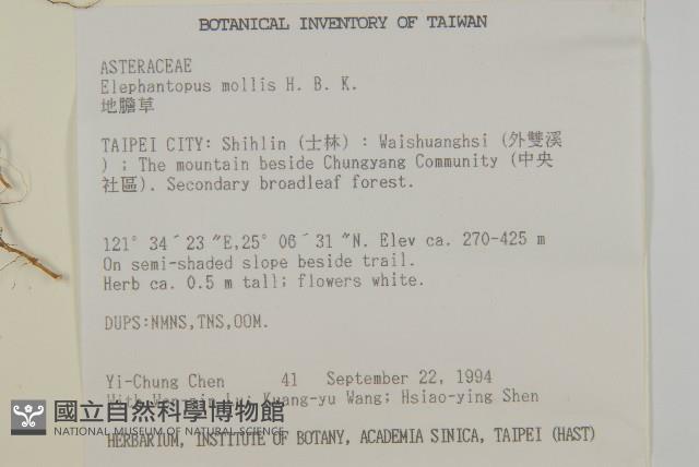 地膽草、毛蓮菜藏品圖，第2張