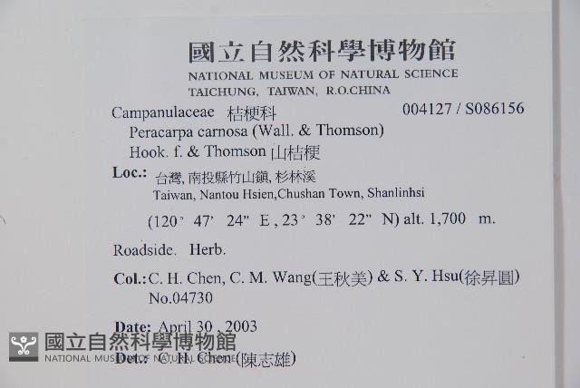 山桔梗藏品圖，第2張