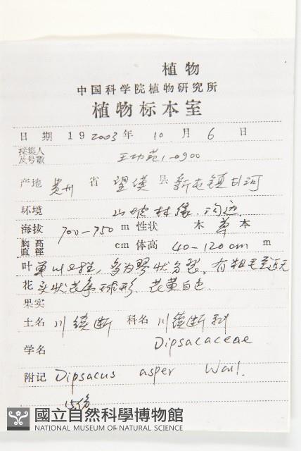 川續斷藏品圖，第2張