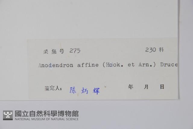 小錦蘭藏品圖，第2張