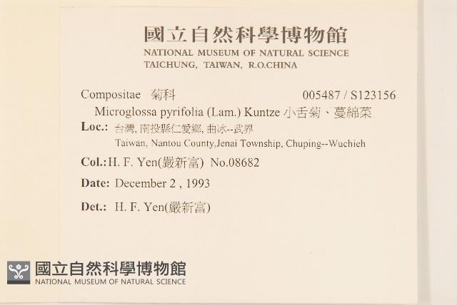 小舌菊、蔓綿菜藏品圖，第2張