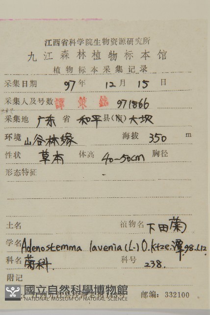 下田菊藏品圖，第2張