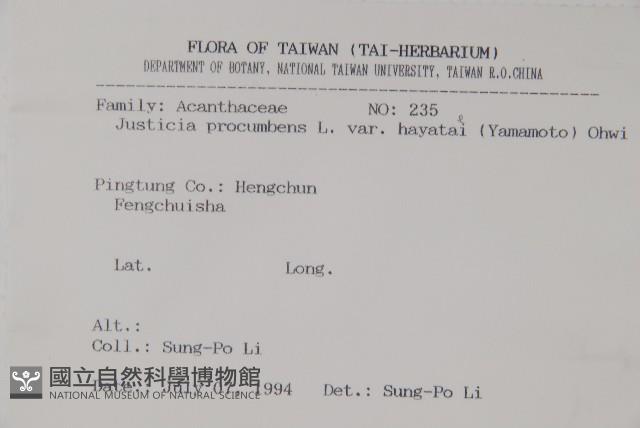 早田氏爵床藏品圖，第2張