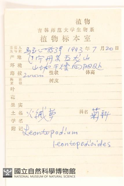 火絨草藏品圖，第2張