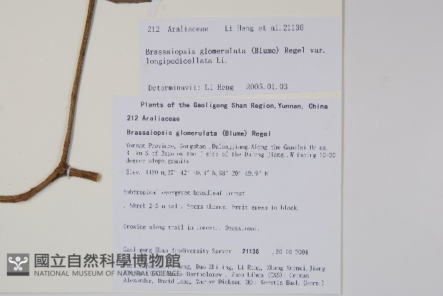 登錄號:S106356藏品圖，第2張