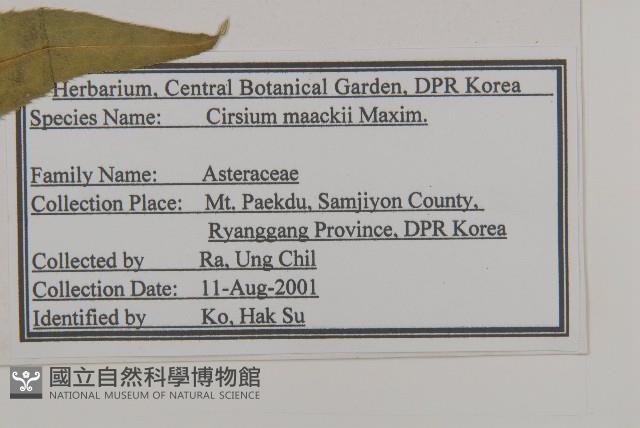 野薊藏品圖，第2張