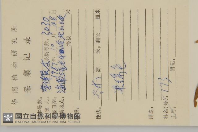 大丁黃藏品圖，第2張