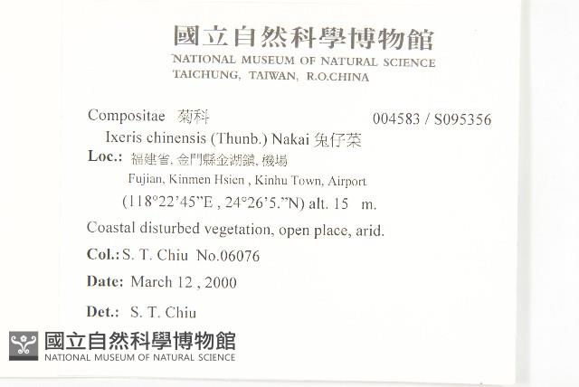 兔仔菜藏品圖，第2張