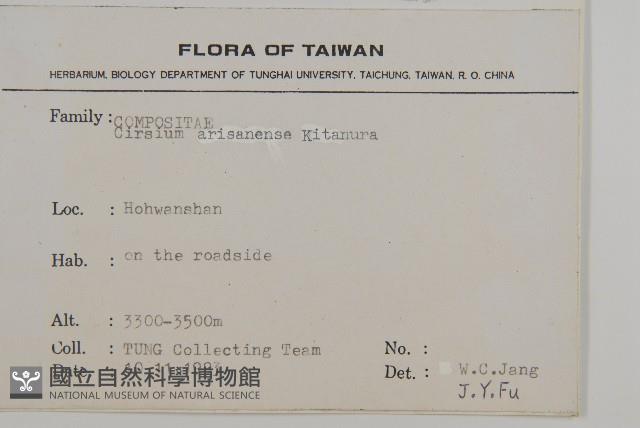 阿里山薊藏品圖，第2張