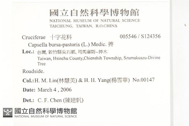 薺藏品圖，第2張