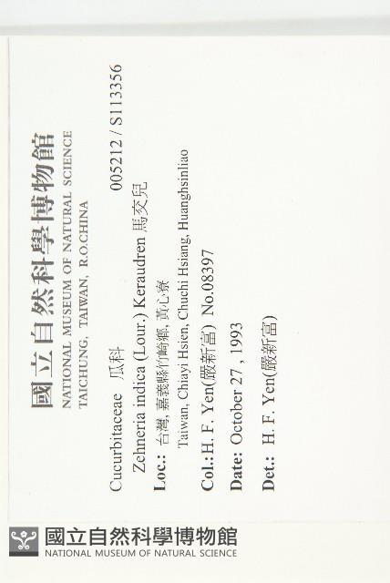 馬交兒藏品圖，第2張