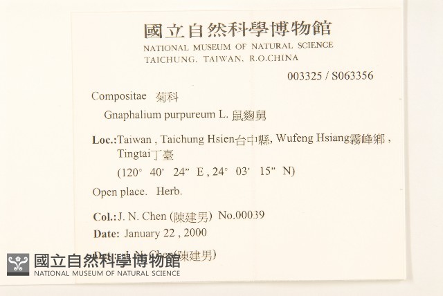鼠麴舅藏品圖，第2張