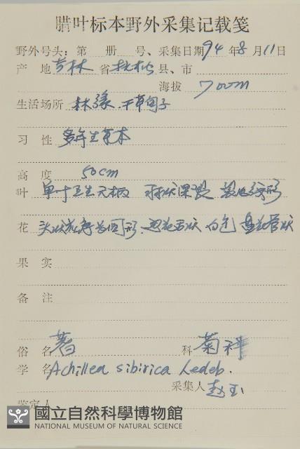 西伯利亞蓍藏品圖，第2張