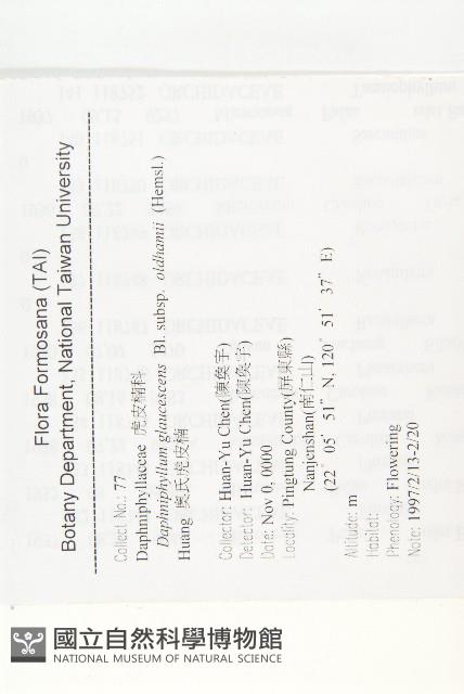 耿氏虎皮楠藏品圖，第2張