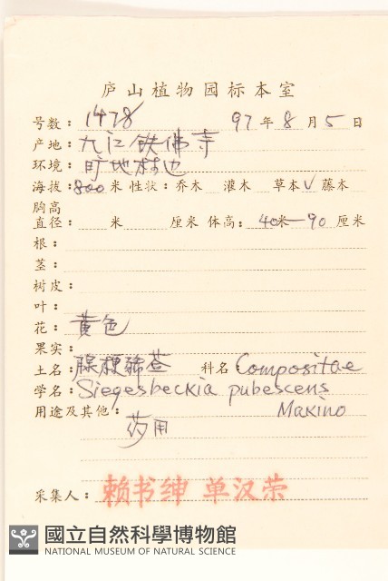 腺梗豨薟藏品圖，第2張