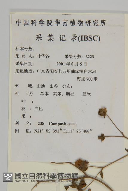 下田菊藏品圖，第2張