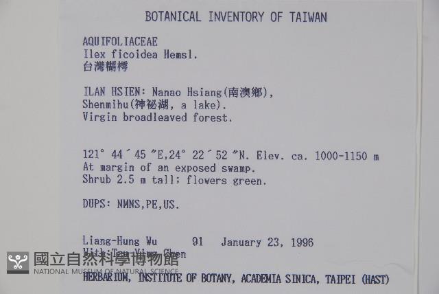 臺灣糊樗藏品圖，第2張