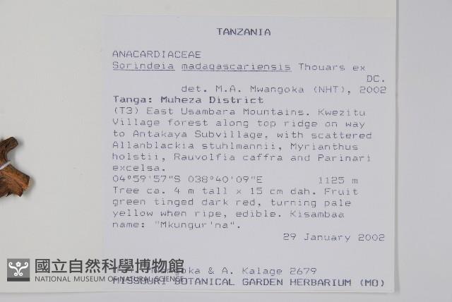 登錄號:S095856藏品圖，第2張