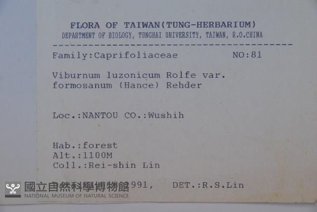 紅子莢迷藏品圖，第2張