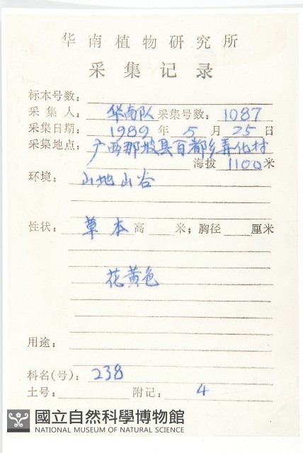 山蟛蜞菊藏品圖，第2張