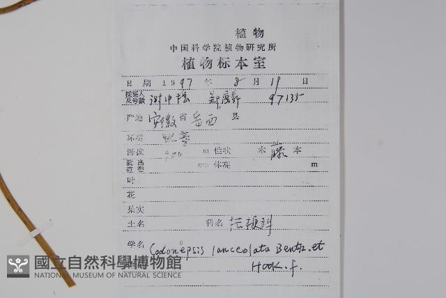 羊乳、四葉參藏品圖，第2張