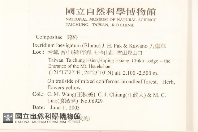 刀傷草藏品圖，第2張