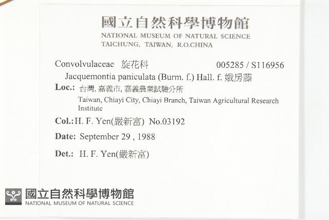 娥房藤藏品圖，第2張