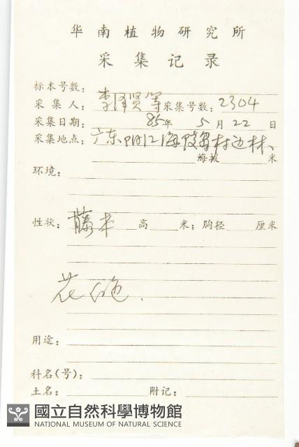 多花丁公藤藏品圖，第2張