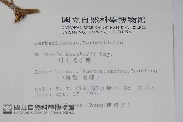 臺灣小蘗藏品圖，第2張