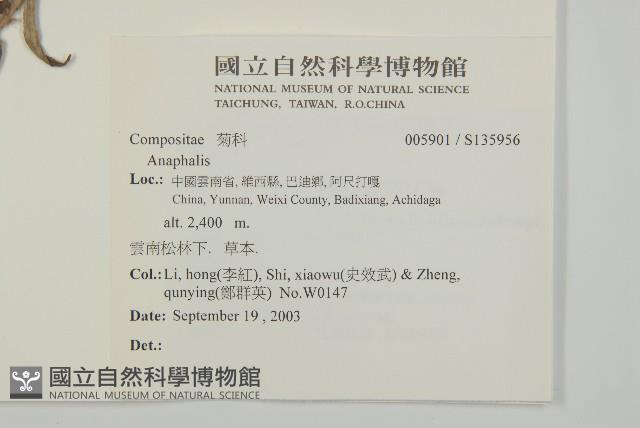 登錄號:S135956藏品圖，第2張