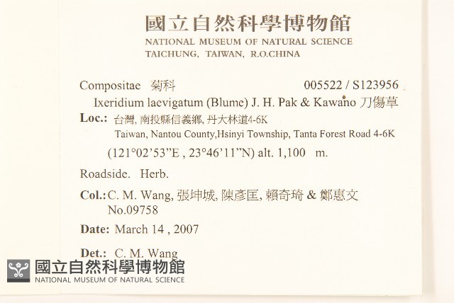 刀傷草藏品圖，第2張