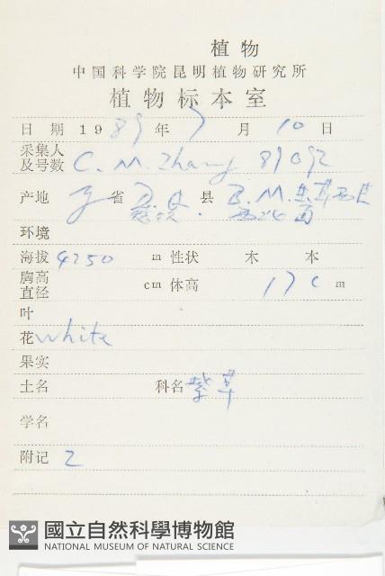 白花刺參藏品圖，第2張