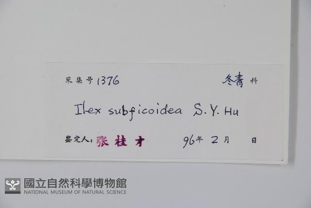 Accession Number:S042556 Collection Image, Figure 2, Total 2 Figures