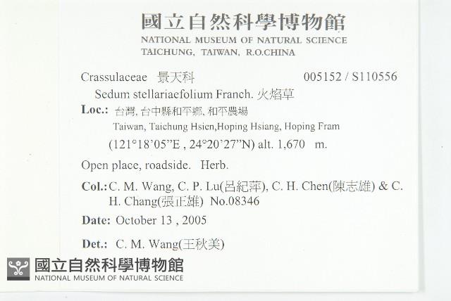 火焰草藏品圖，第2張