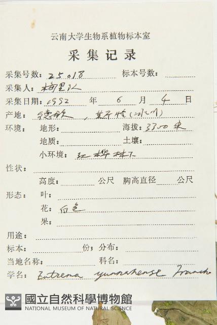 山俞菜藏品圖，第2張