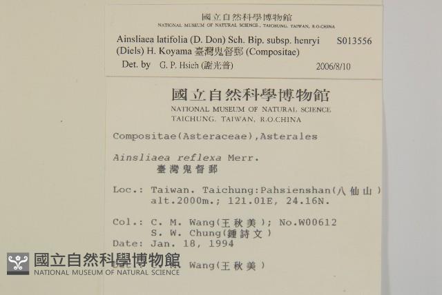 臺灣鬼督郵藏品圖，第2張