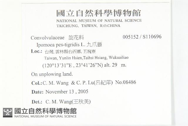 九爪藤藏品圖，第2張