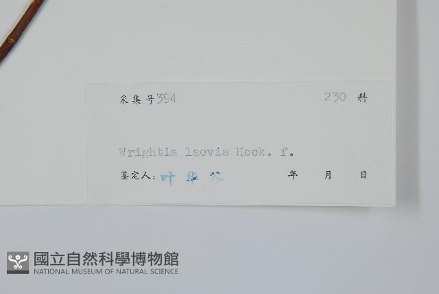 藍樹藏品圖，第2張